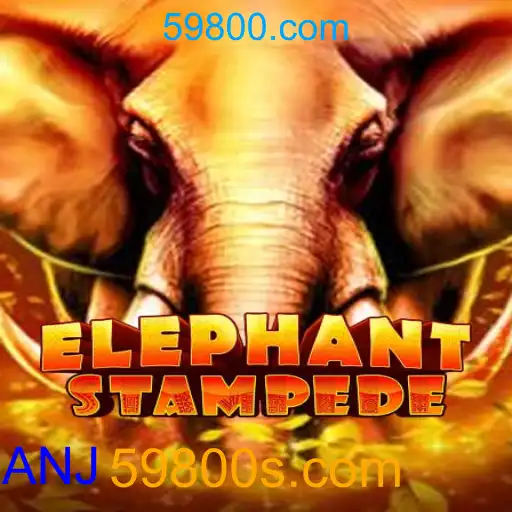 Como ganhar no Fortune Rabbit em 59800.com com Saque via PIX 2026